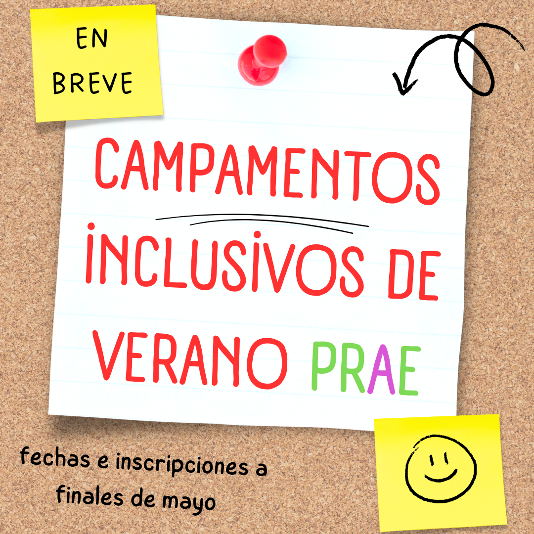 CAMPAMENTOS INCLUSIVOS DE VERANO 